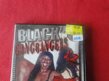 Load image into Gallery viewer, Vintage Adult Porn XXX DVD Erotic Movie Black Gangbangers 12        BT3
