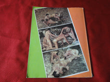Load image into Gallery viewer, Vintage Adult Erotic Sexy Magazine Gay Interest California Hardcore All Color 100 Pages   P83
