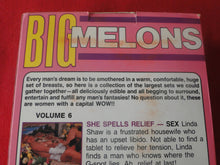 Load image into Gallery viewer, Vintage Adult XXX VHS Porn Tape X-Rated Movie Big Melons Vol. 6 1986       X5
