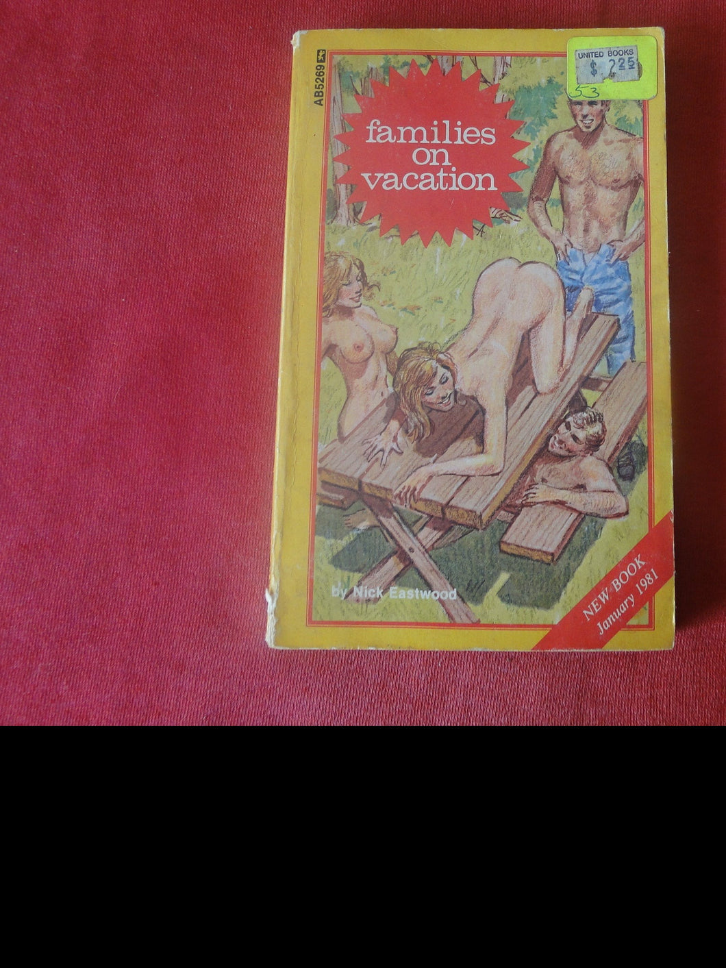 Vintage Adult Paperback Novel/Book Families On Vacation Greenleaf ROUGH PB5
