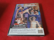 Load image into Gallery viewer, Vintage Adult Erotic Sexy Porn XXX DVD Movie SEALED Asian Heart Breakers   BZ
