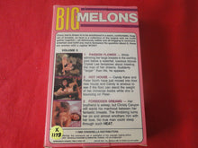 Load image into Gallery viewer, Vintage Adult XXX VHS Porn Tape X-Rated Movie Big Melons Volume 5       X4
