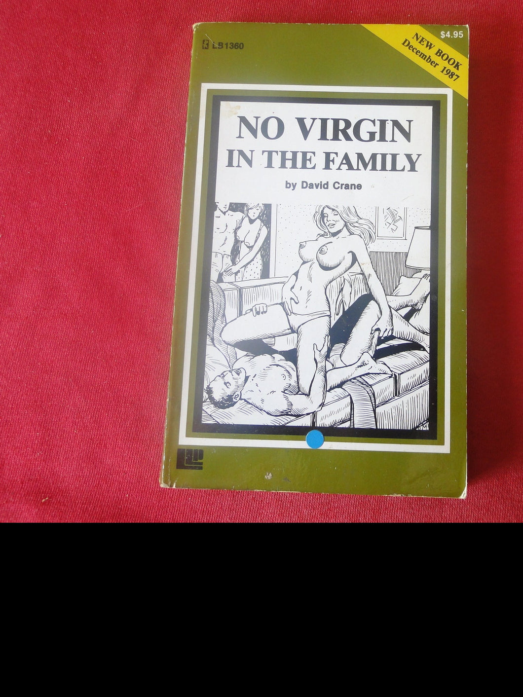 Vintage Adult Paperback Novel/Book No Virgin In The Family           PB5