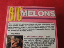 Load image into Gallery viewer, Vintage Adult XXX VHS Porn Tape X-Rated Movie Big Melons Volume 5       X4
