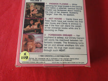 Load image into Gallery viewer, Vintage Adult XXX VHS Porn Tape X-Rated Movie Big Melons Volume 5       X4
