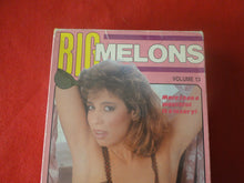 Load image into Gallery viewer, Vintage Adult XXX VHS Porn Tape X-Rated Movie Big Melons Volume 13 Christy Canyon  X4
