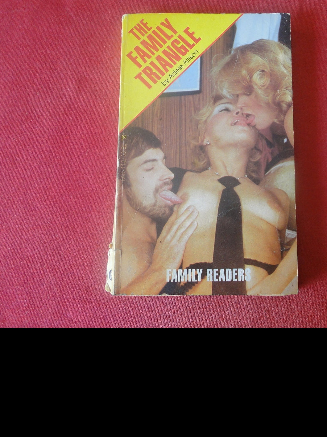 Vintage Adult Paperback Novel/Book The Family Triangle ROUGH      PB5