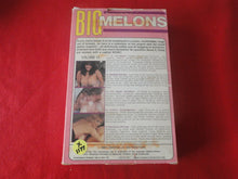 Load image into Gallery viewer, Vintage Adult XXX VHS Porn Tape X-Rated Movie Big Melons Volume 13 Christy Canyon  X4
