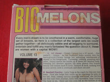 Load image into Gallery viewer, Vintage Adult XXX VHS Porn Tape X-Rated Movie Big Melons Volume 13 Christy Canyon  X4
