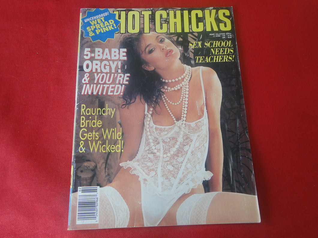 Vintage Nude Erotic Sexy Adult Magazine Hot Chicks Feb. 1992       JB63