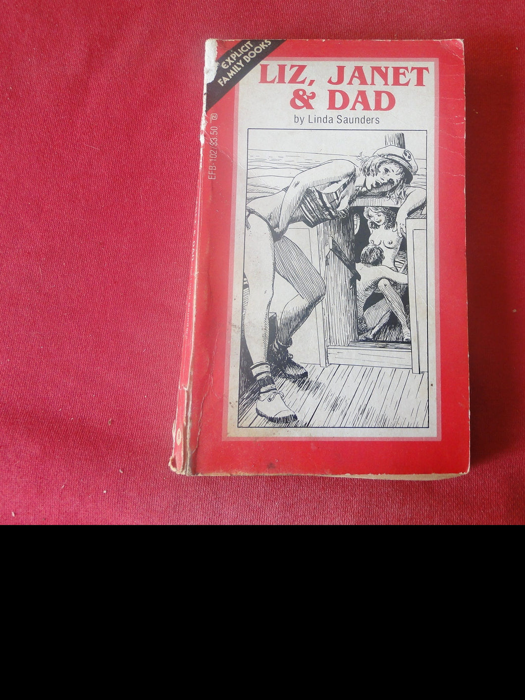 Vintage Adult Paperback Novel/Book Liz, Janet & Dad ROUGH           PB5