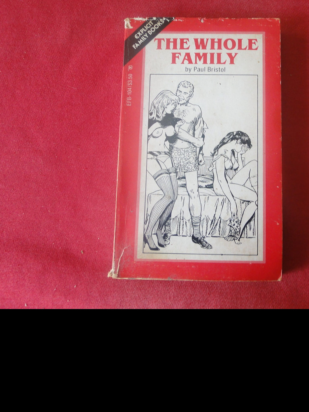 Vintage Adult Paperback Novel/Book The Whole Family ROUGH          PB5
