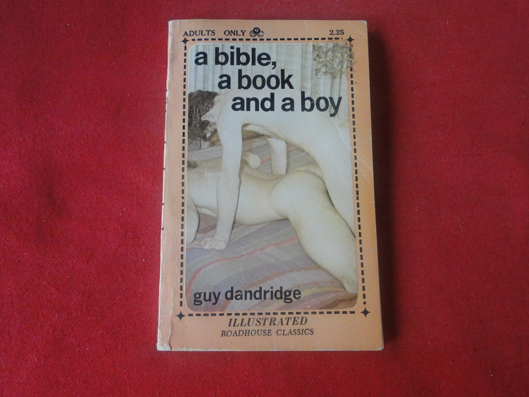 Vintage Adult Paperback Novel/Book Gay Interest A Bible, A Book and A Boy     P85
