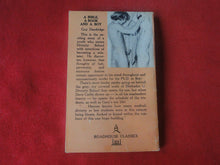 Load image into Gallery viewer, Vintage Adult Paperback Novel/Book Gay Interest A Bible, A Book and A Boy     P85
