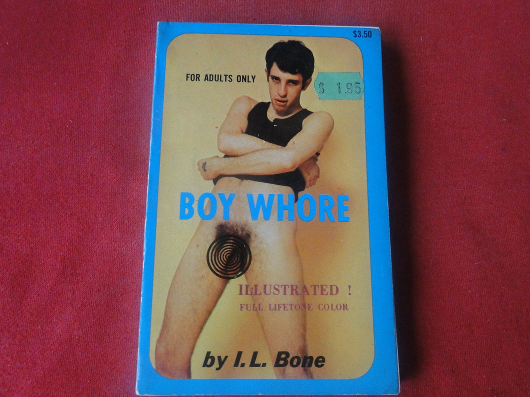 Vintage Adult Paperback Novel/Book Gay Interest Boy Whore         P85