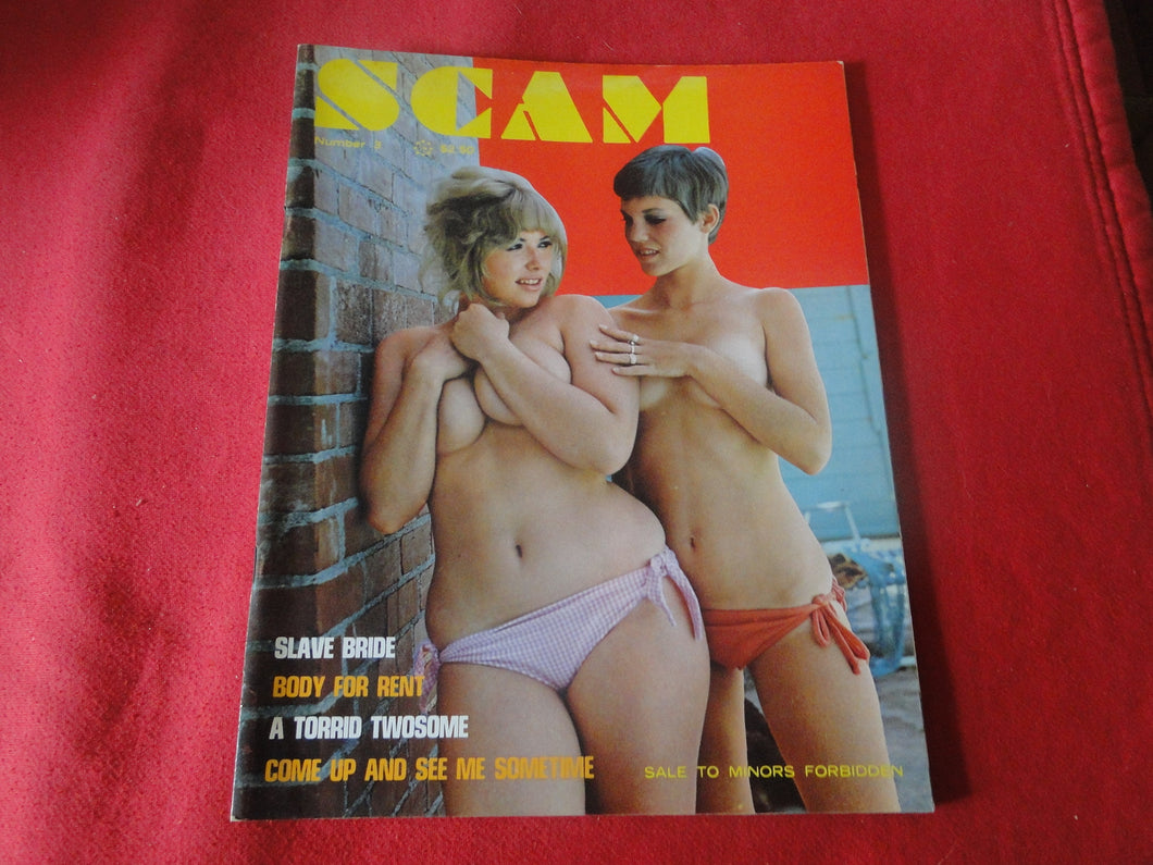 Vintage Nude Erotic Sexy Adult Magazine Scam           P85