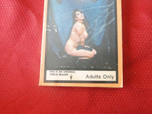 Load image into Gallery viewer, Vintage Erotic Porn Paperback Book/Novel Torch Reader Pricks and Kicks 1974    G4
