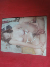 Load image into Gallery viewer, Vintage Nude Erotic Sexy Adult Magazine Sex Odyssey 1984       P13
