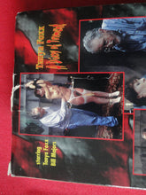 Load image into Gallery viewer, Vintage Adult XXX VHS Porn Tape X-Rated Movie BDSM A Diary of Torment Tanya Foxx  X2

