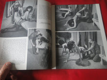Load image into Gallery viewer, Vintage Nude Erotic Sexy Adult Magazine BDSM HOM Video Premiere     JB65
