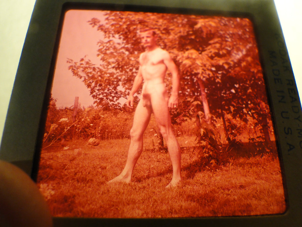 Vintage 1960s Nude Gay Slide MIchigan Western Guild Era       GU17