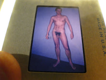 Load image into Gallery viewer, Vintage 1960s Nude Gay Slide MIchigan Western Guild Era       GU37
