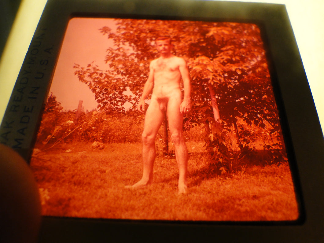 Vintage 1960s Nude Gay Slide MIchigan Western Guild Era       GU40