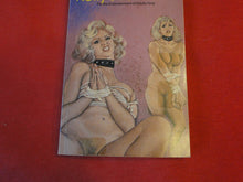 Load image into Gallery viewer, Vintage Erotic Adult Paperback Book/Novel Kelly's Torment Leather Lessons   PB2
