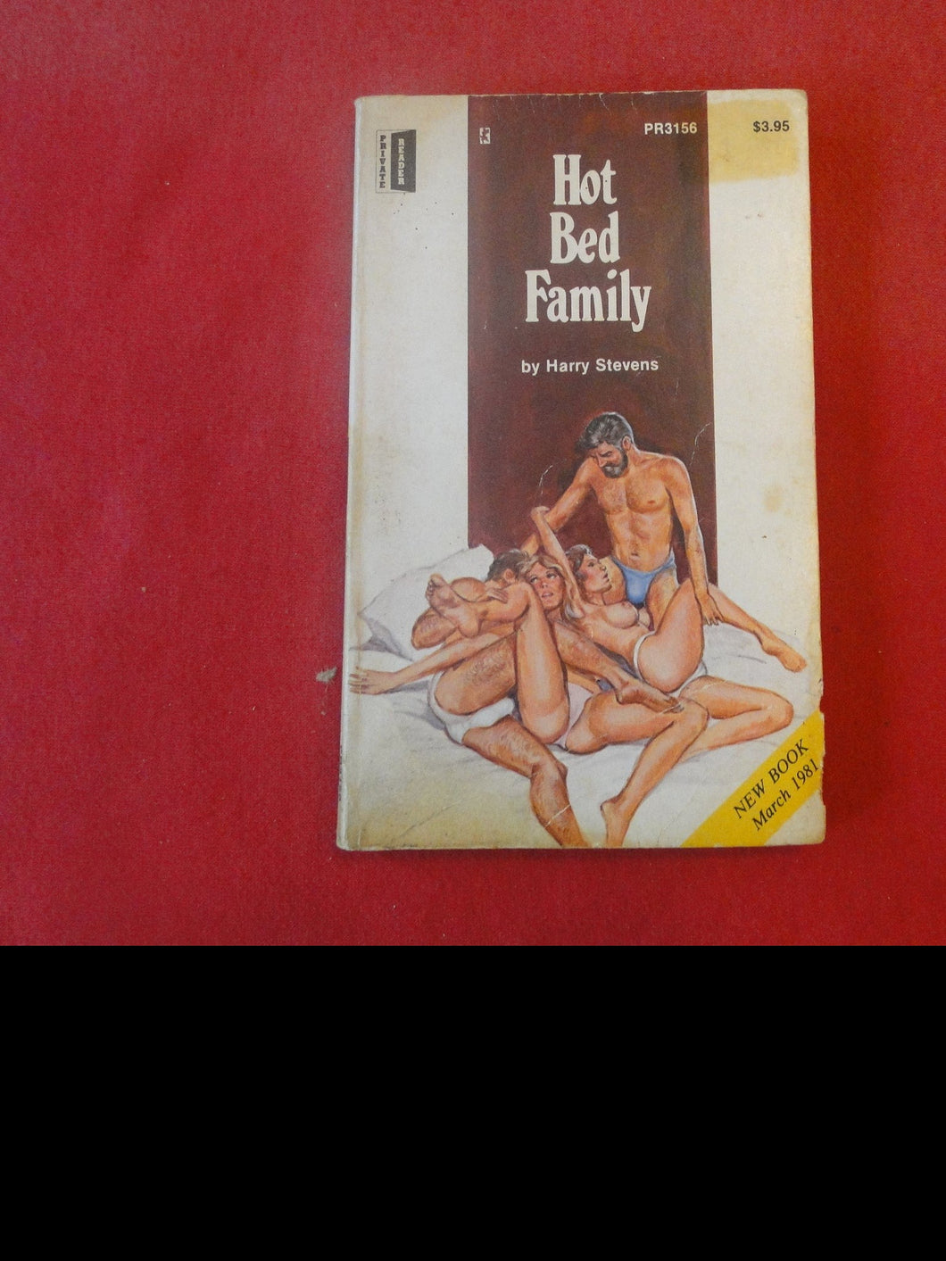 Vintage Erotic Adult Paperback Book/Novel Hot Bed Family Greenleaf ROUGH    PB3