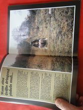 Load image into Gallery viewer, Vintage Nude Erotic Sexy Adult Magazine German Pissy Girl Vol. 3       S1
