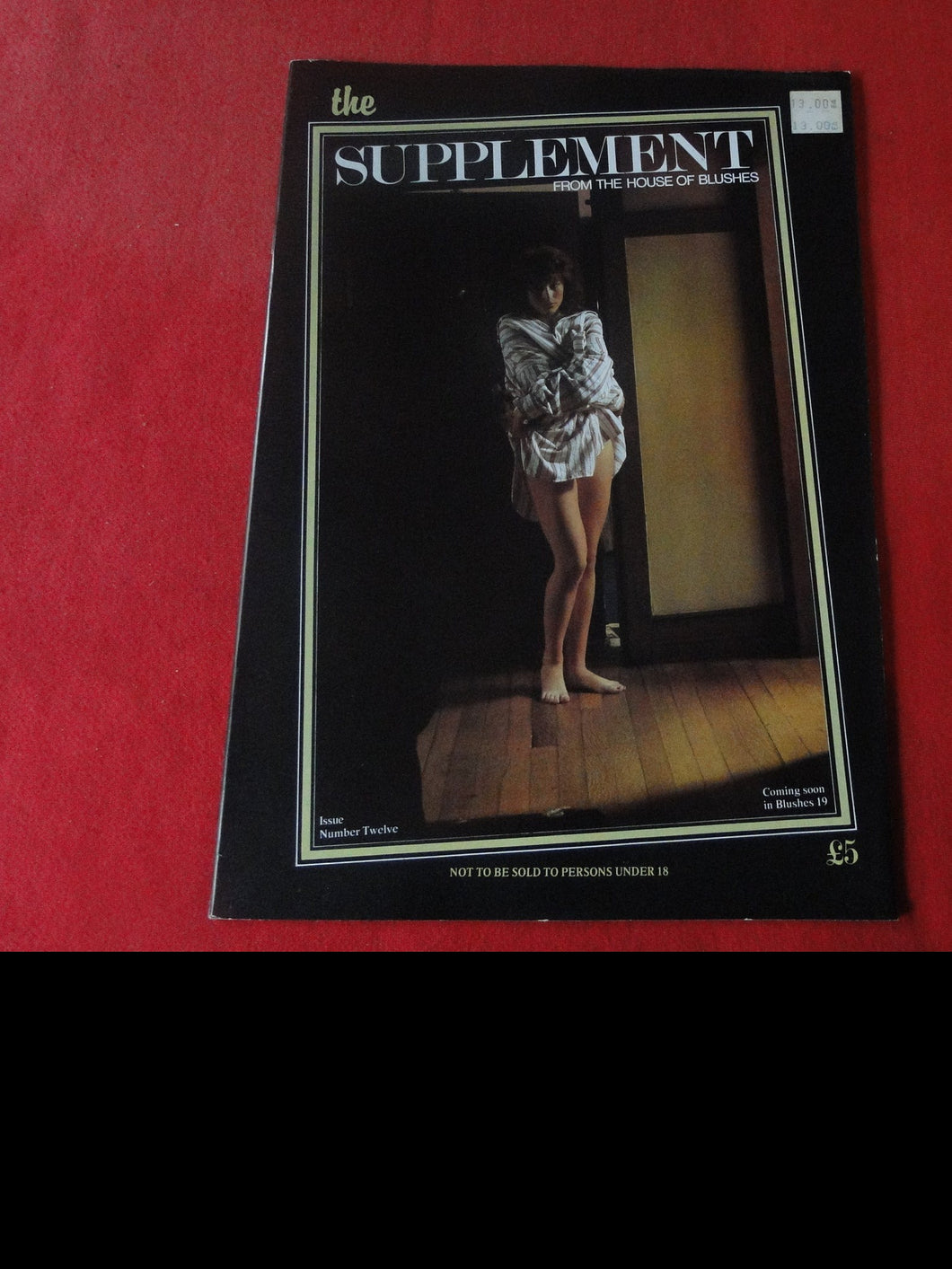 Vintage Nude Erotic Sexy Adult Magazine BDSM Supplement From Blushes #12    P12