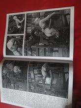Load image into Gallery viewer, Vintage Nude Erotic Sexy Adult Magazine BDSM Supplement From Blushes #12    P12
