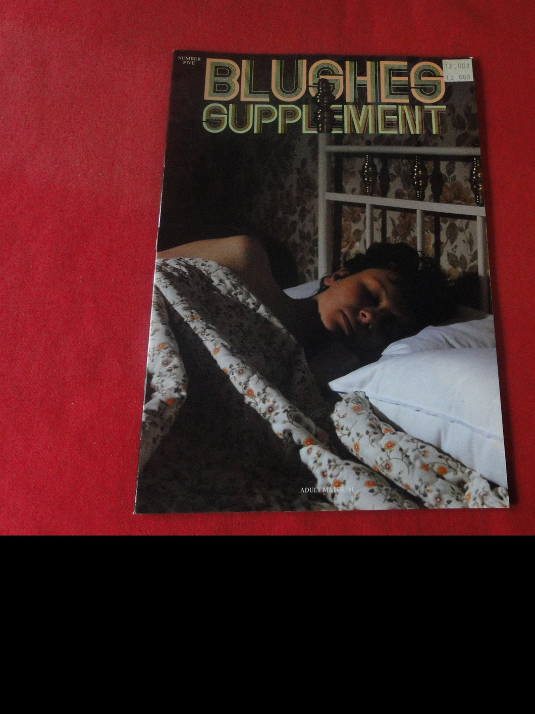 Vintage Nude Erotic Sexy Adult Magazine BDSM Supplement From Blushes #5   P12