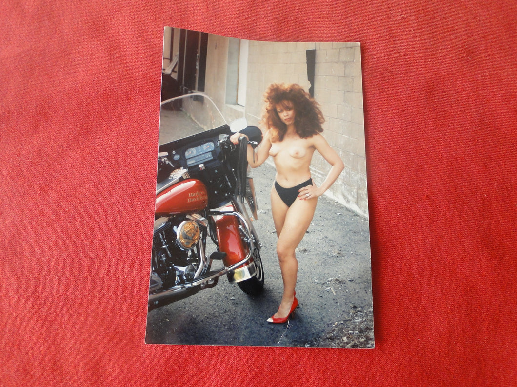 Vintage 1980s Nude Erotic Sexy Nude Woman Photo Hispanic Honey 4 x 6   DDi