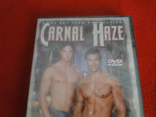 Load image into Gallery viewer, Vintage Adult All Male Gay XXX DVD SEALED NOS Carnal Haze         B3
