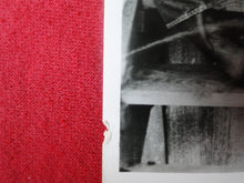 Load image into Gallery viewer, Vintage Original Gay Interest Cowboys In Chaps Hot Hung 8 x 10 Photograph BZ3

