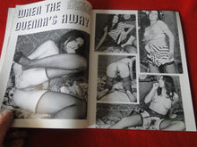 Load image into Gallery viewer, Vintage Nude Erotic Sexy Adult Magazine Pussy Willow 1971         JB40
