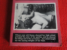 Load image into Gallery viewer, Vintage Adult Paperback Book/Novel Pendulum Mini Make Out          G3
