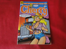 Load image into Gallery viewer, Vintage Nude Erotic Sexy Adult Men&#39;s Comic Book Cherry #9 1993        PB3
