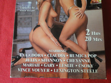 Load image into Gallery viewer, Vintage Adult XXX VHS Porn Tape Diabolic 2 on 1 #2               X31
