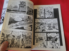 Load image into Gallery viewer, Vintage Nude Erotic Sexy Adult Men&#39;s Comic Book Sally Forth #1 1993     PB3

