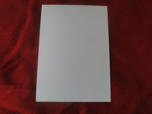 Load image into Gallery viewer, Vintage Gay Interest Nude Hot Hung Male Photo 5 x7 Young Stud    H52

