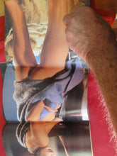Load image into Gallery viewer, Vintage Nude Erotic Sexy Adult Magazine Hustler July 1981          GM
