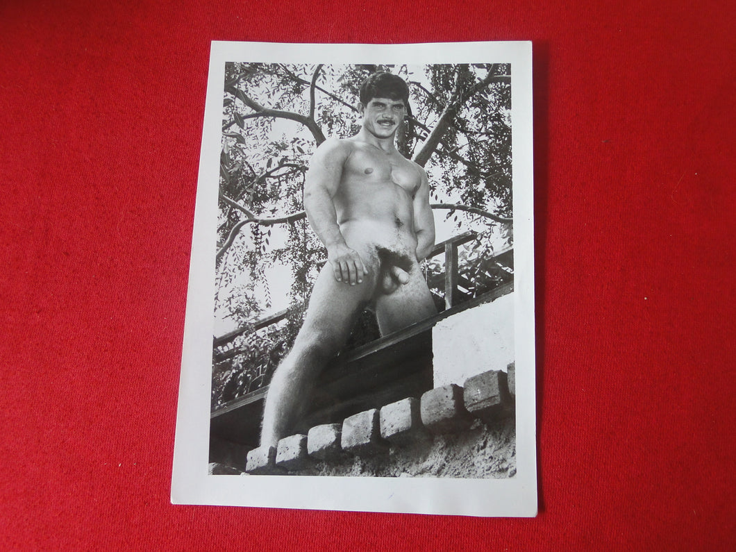 Vintage Gay Interest COLT Nude Black & White Hot HUNG Male Photo WRITING ON BACK ADj