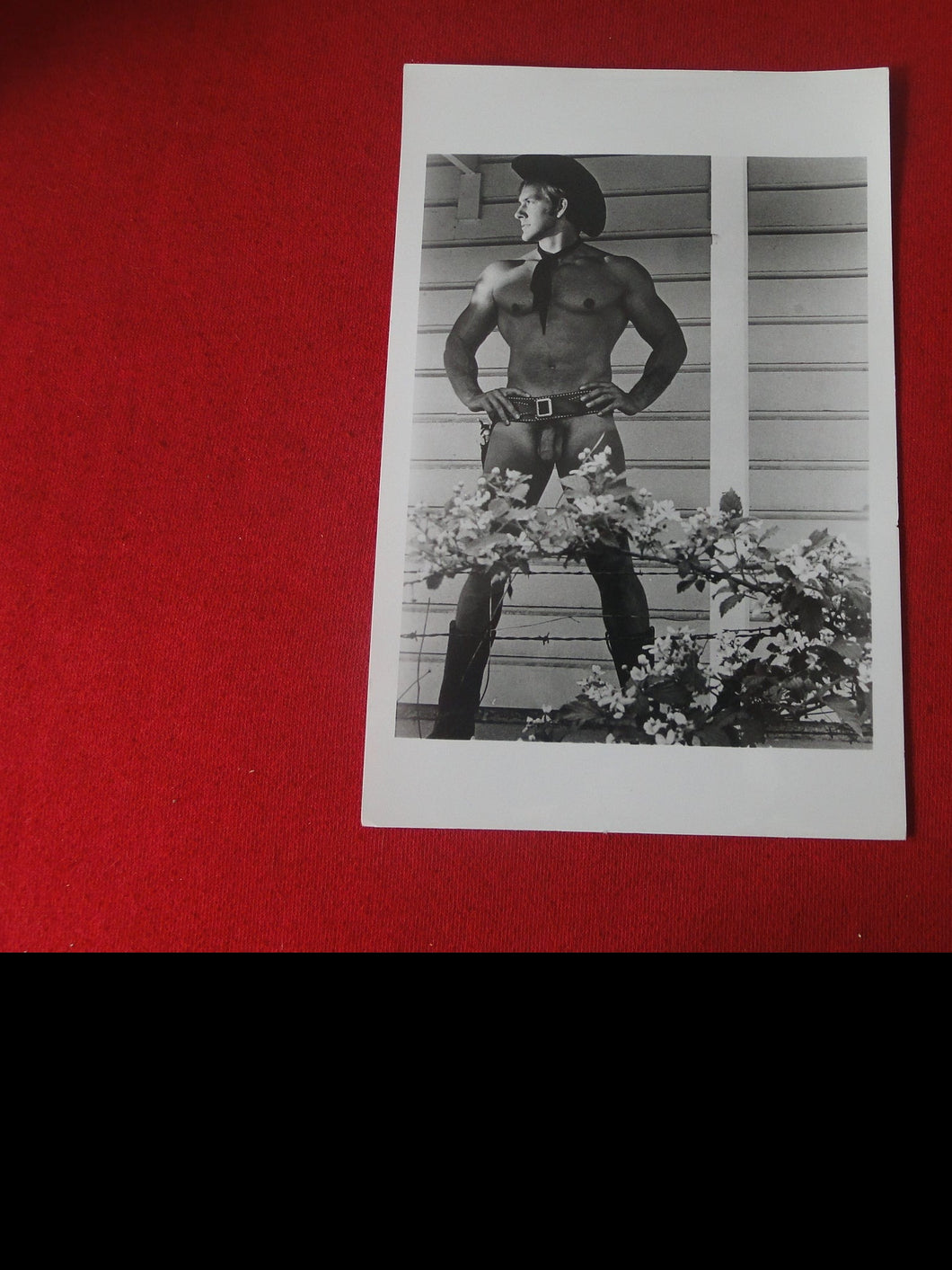 Vintage Gay Interest COLT Nude Black & White Hot HUNG Male Photo ADm