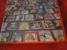 Load image into Gallery viewer, Vintage Adult Erotic Sexy Porn XXX DVD Movie Lust Bug Sharon Mitchell Peter North  X12
