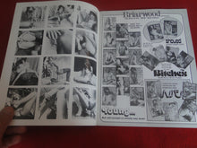 Load image into Gallery viewer, Vintage Nude Erotic Sexy Adult Magazine 300 Photos of Asses &amp; Snatches    P80
