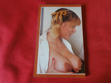 Load image into Gallery viewer, Vintage Erotic Adult Paperback Book/Novel Greenleaf The Babysitter Balls Best    PB4
