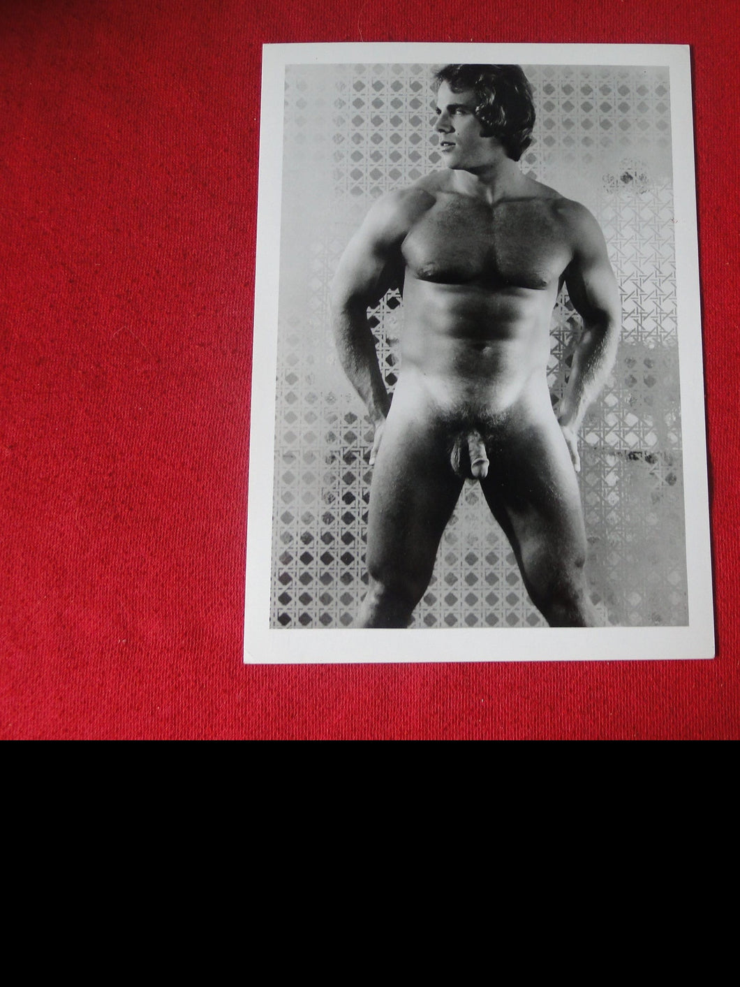 Vintage Gay Interest COLT Nude Black & White Hot HUNG Male Photo WRITING ON BACK AD7