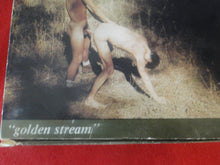 Load image into Gallery viewer, Vintage 8MM Gay Adult Pornographic Smoker Stag Film Horse Golden Stream    X12
